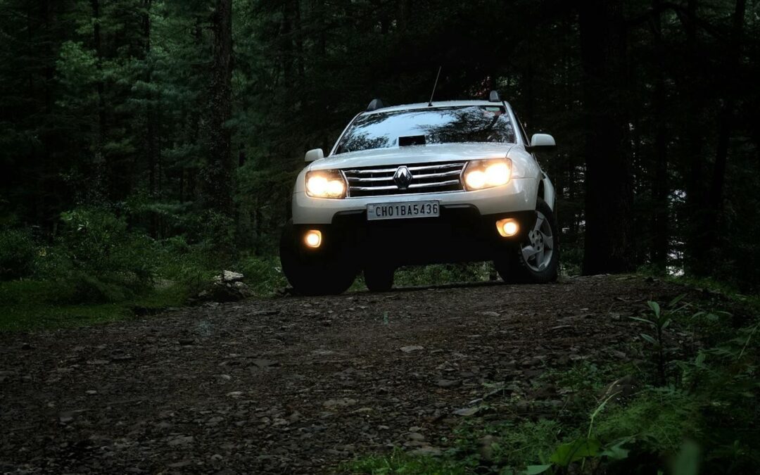 Gebruikte Renault of Dacia kopen